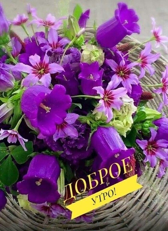 ДОБРОЕ УТРО!