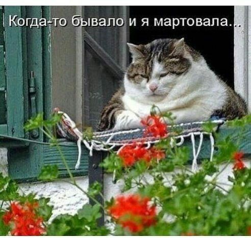 Когда-то бывало и я мартовала...