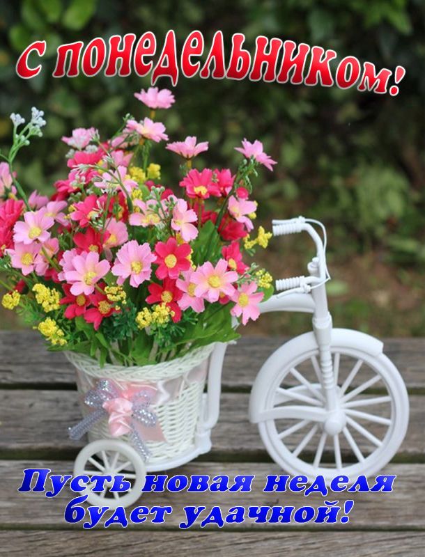 с понедельником! Пусть новая неделя будет удачной!