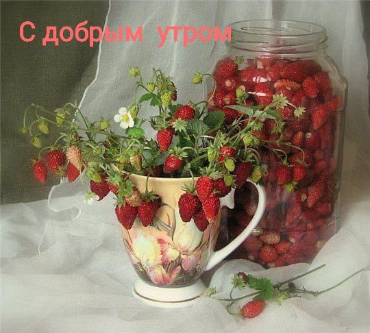 С добрым утром