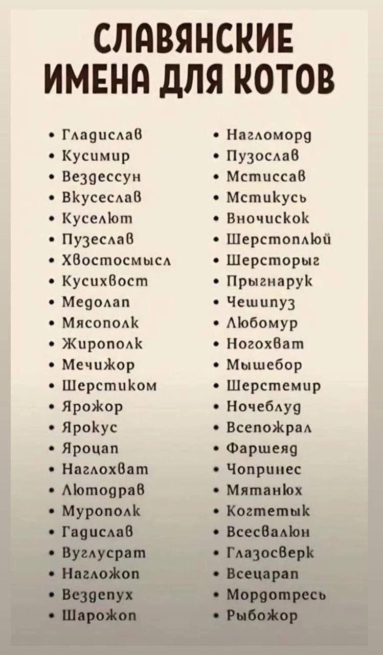 Славянские имена для котов
- Гладислав
- Кусимир
- Вездесущий
- Вкуселот
- Куселок
- Пузеслав
- Хвостосмысл
- Кухивост
- Меголан
- Мясоплок
- Жироплок
- Мечичор
- Шерстиком
- Ярокор
- Яроку
- Ярочан
- Нахоловат
- Ломорава
- Муроплак
- Гагислав
- Вузалслав
- Назаджон
- Вездепух
- Шарожон
- Нагаломорд
- Пузослав
- Мстисслав
- Мстискус
- Внучочок
- Шерстоплюй
- Шерстын
- Прыжнарук
- Чешылып
- Любомур
- Ногогват
- Мышебор
- Шерстемир
- Ночебуд
- Всепожал
- Фаршед
- Чорпиц
- Мятных
- Коземетык
- Всевалон
- Глазоверк
- Всецар
- Моргопресс
- Рыбожор