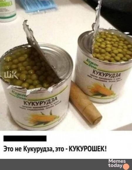 Это не Кукуруза, это - КУКУРОШЕК!