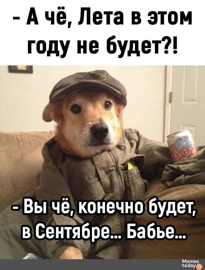 - А чё, Лета в этом годu не будет?!
- Вы чё, конечно будет, в Сентябре... Бабье...