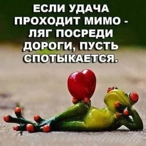 ЕСЛИ УДАЧА ПРОХОДИТ МИМО - ЛЯГ ПОСРЕДИ ДОРОГИ, ПУСТЬ СПОТЫКАЕТСЯ.