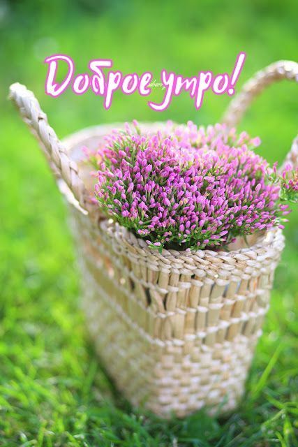 Доброе утро!