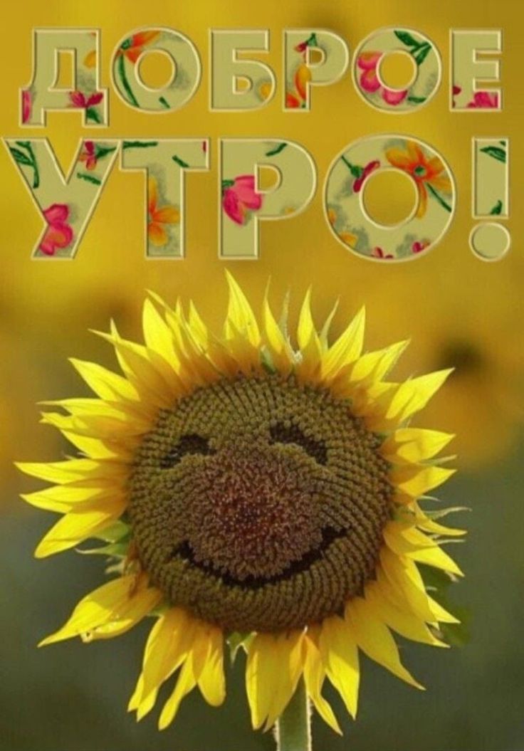 ДОБРОЕ УТРО!