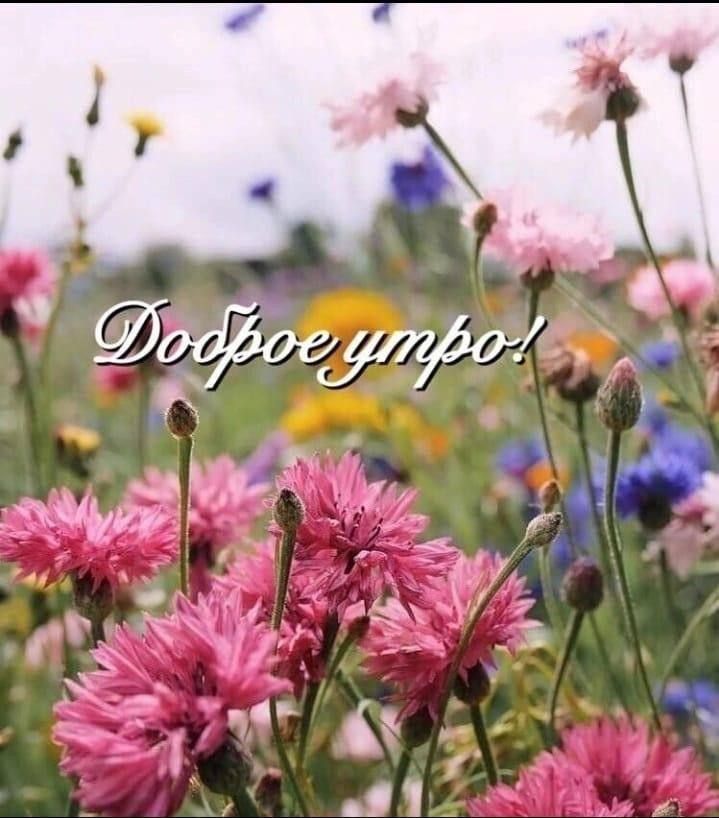 Доброе утро!