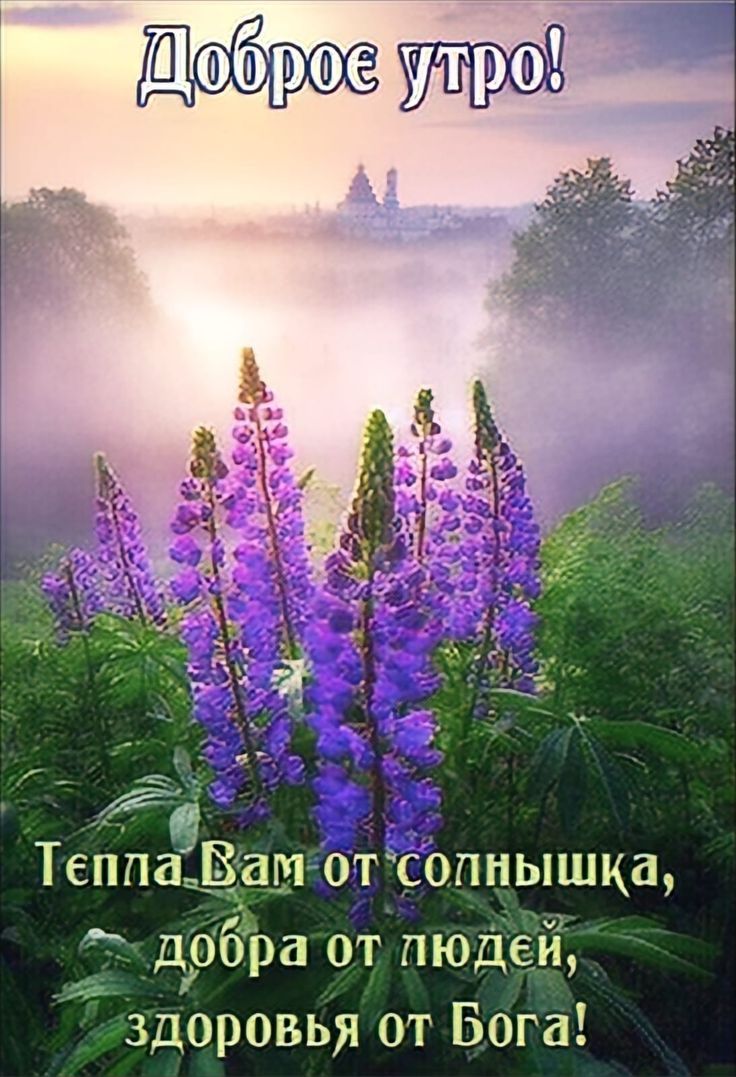 Доброе утро!
Тепла Вам от солнышка, добра от людей, здоровья от Бога!