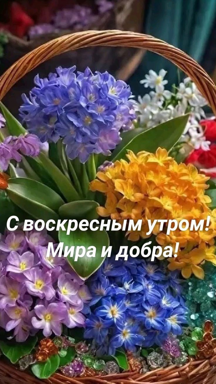 С воскресным утром! Мира и добра!