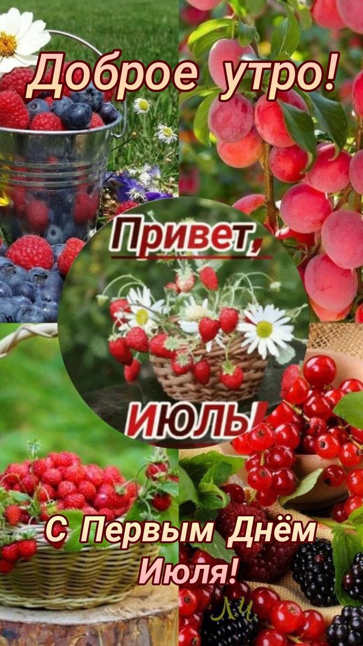 Доброе утро! Привет, Июль! С Первым Днём Июля!