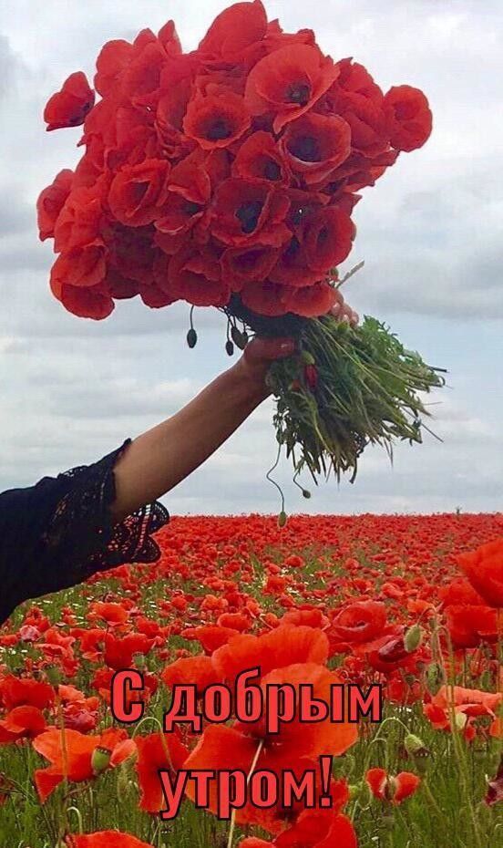 С добрым утром!