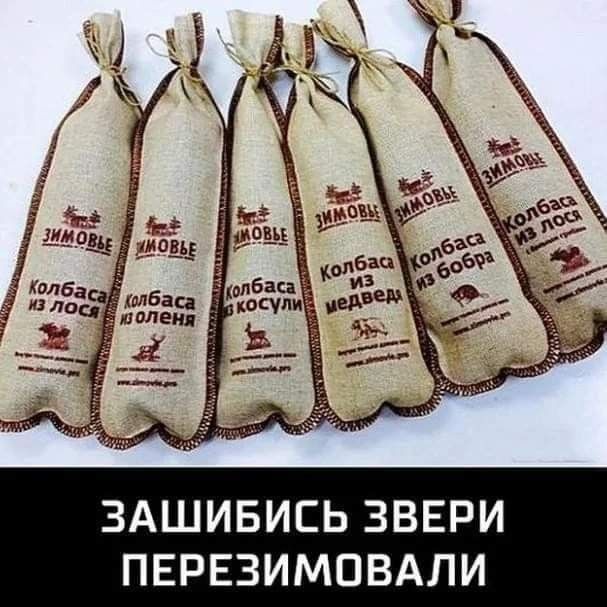 ЗАШИБИСЬ ЗВЕРИ ПЕРЕЗИМОВАЛИ