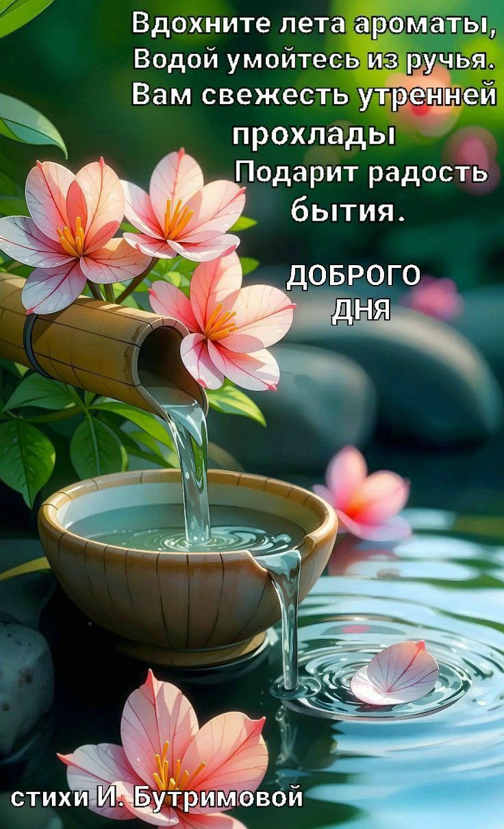 Вдохните лета ароматы, Водой умойтесь из ручья. Вам свежесть утренней прохлады Подарит радость бытия. ДОБРОГО ДНЯ стихи И. Бутримовой
