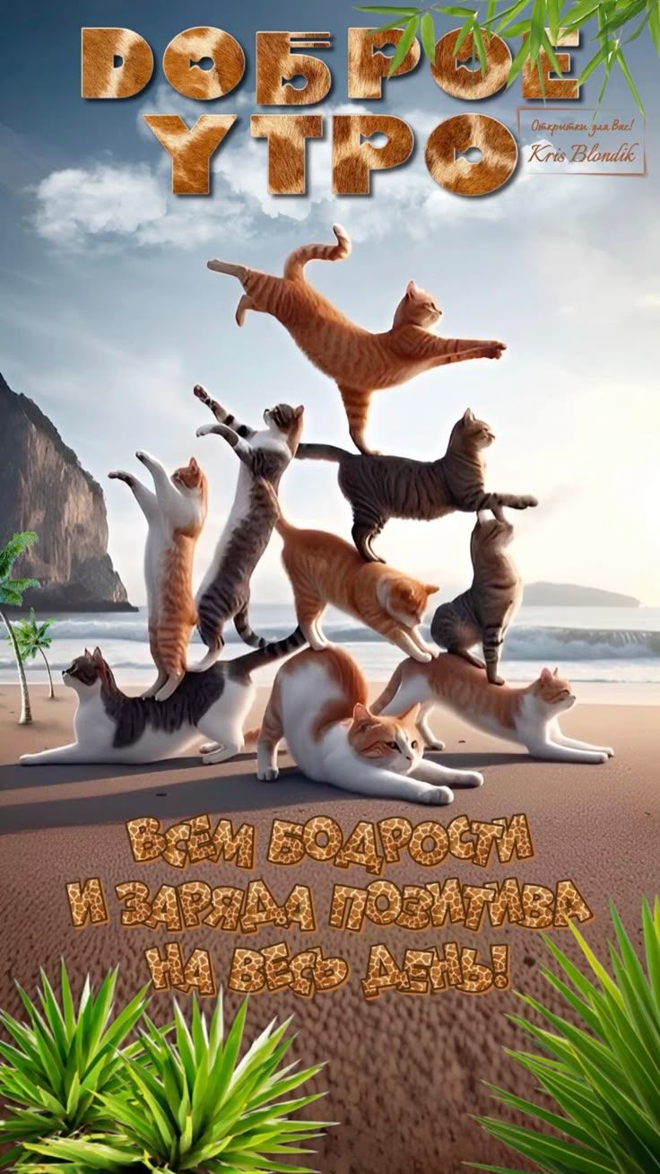 ДОБРОЕ УТРО ВСЕМ БОДРОСТИ И ЗАРЯДА ПОЗИТИВА НА ВЕСЬ ДЕНЬ!