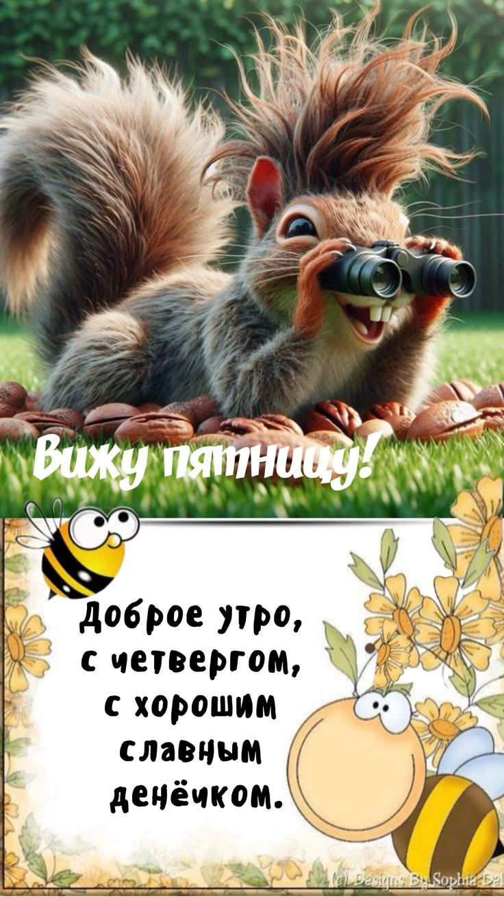 Вижу пятницу!
Доброе утро, с четвергом, с хорошим славным денёчком.