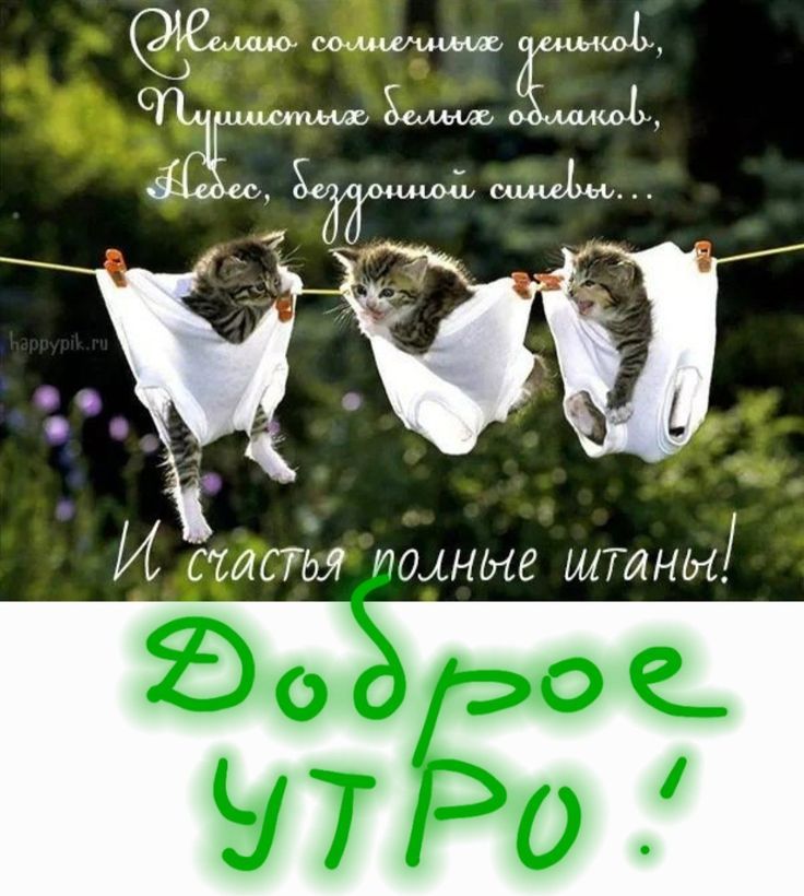 Желаю солнечных денёк, Пышистых белых облаков, Небес, бездонной синевы... И счастья полные штанцы! Доброе УТРО!