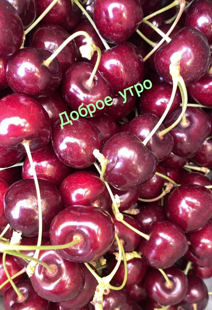 Доброе утро