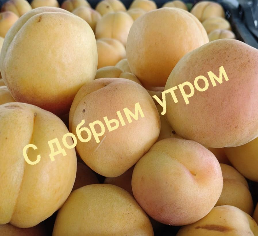 С добрым утром