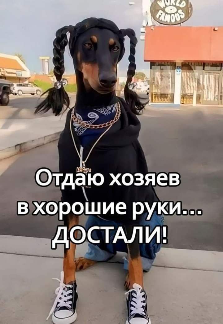 Отдаю хозяев в хорошие руки... ДОСТАЛИ!