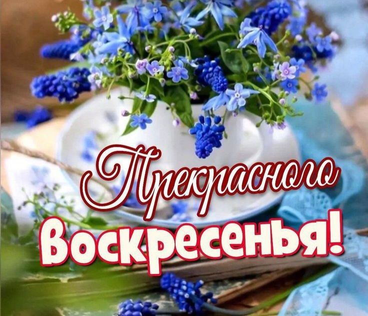 Прекрасного Воскресенья!