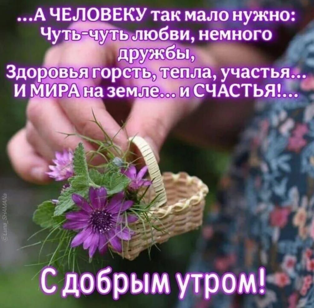 ...А ЧЕЛОВЕКУ так мало нужно: Чуть-чуть любви, немного дружбы, Здоровья горсть, тепла, участия... И МИРА на земле... и СЧАСТЬЯ!... С добрым утром!