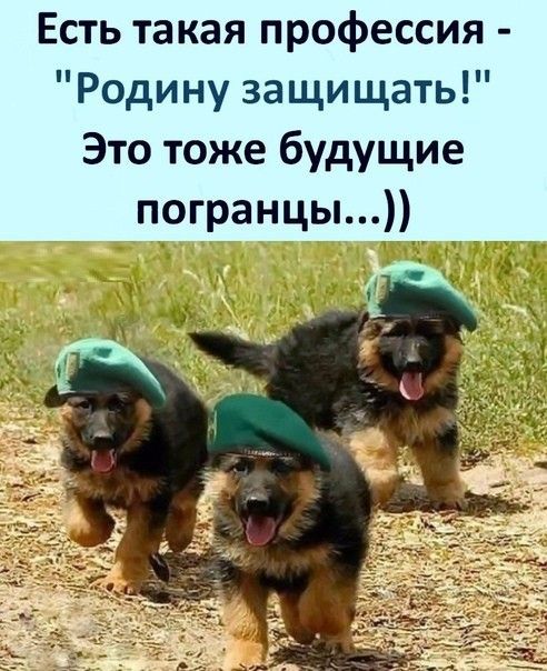 Есть такая профессия - 