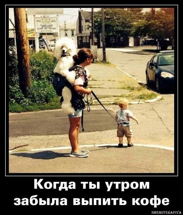 Когда ты утром забыла выпить кофе