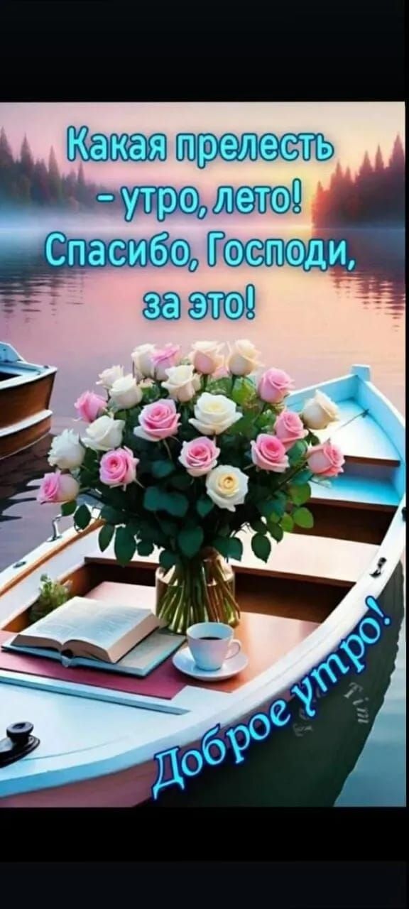 Какая прелесть - утро, лето! Спасибо, Господи, за это! Доброе утро!