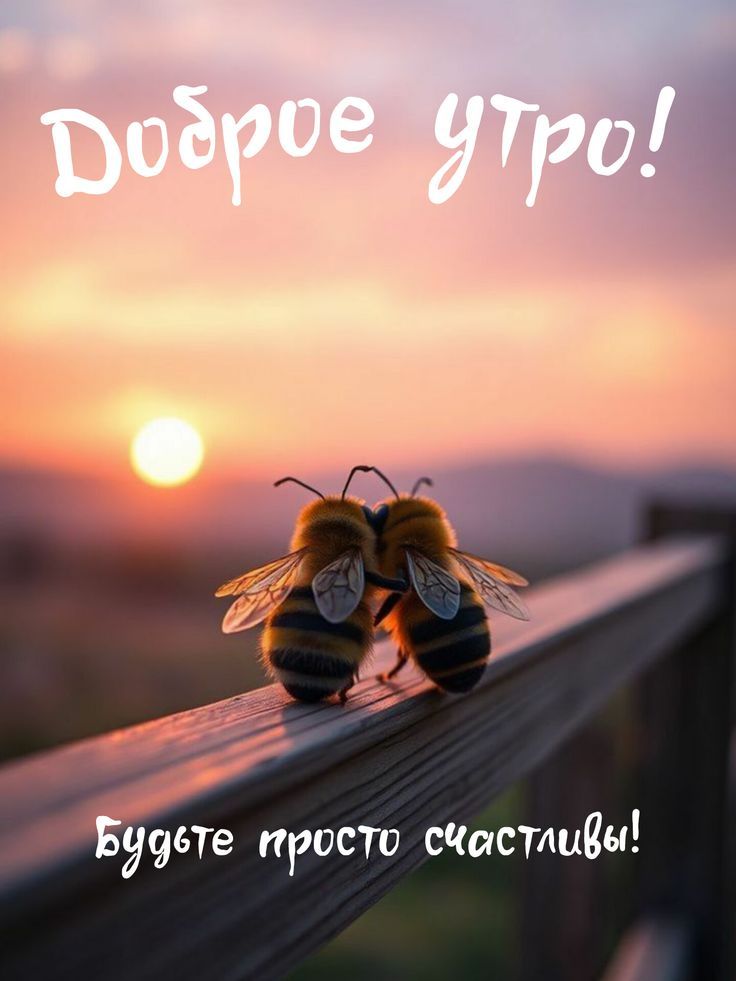 Доброе утро! Будьте просто счастливы!