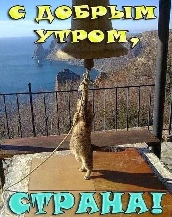 С ДОБРЫМ УТРОМ, СТРАНА!