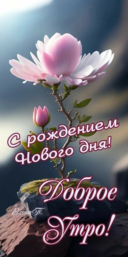 С рождением Нового дня! Доброе Утро!