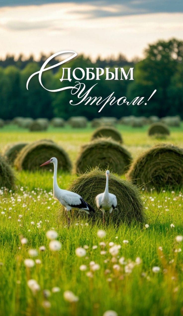 Добрым Утром!