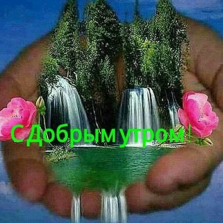 С Добрым утром!