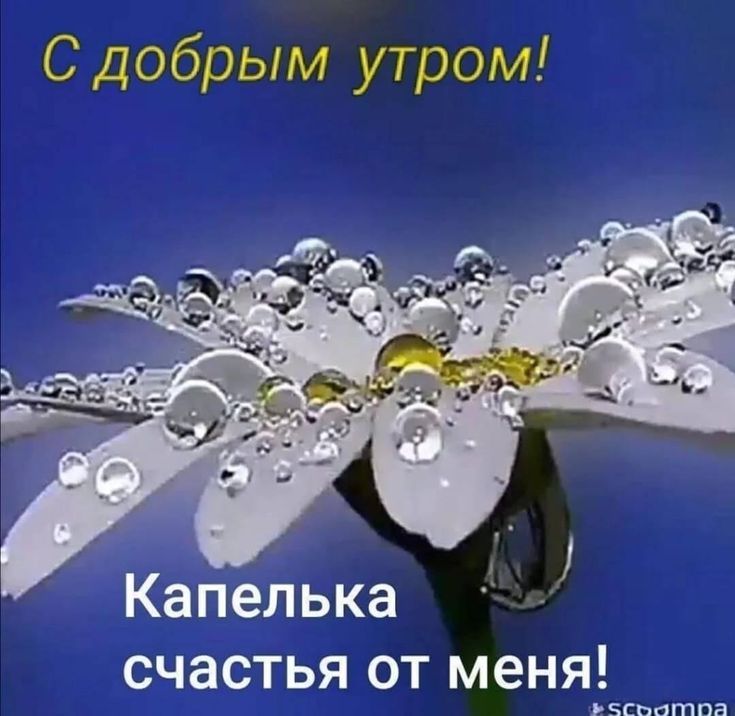 С добрым утром! Капелька счастья от меня!