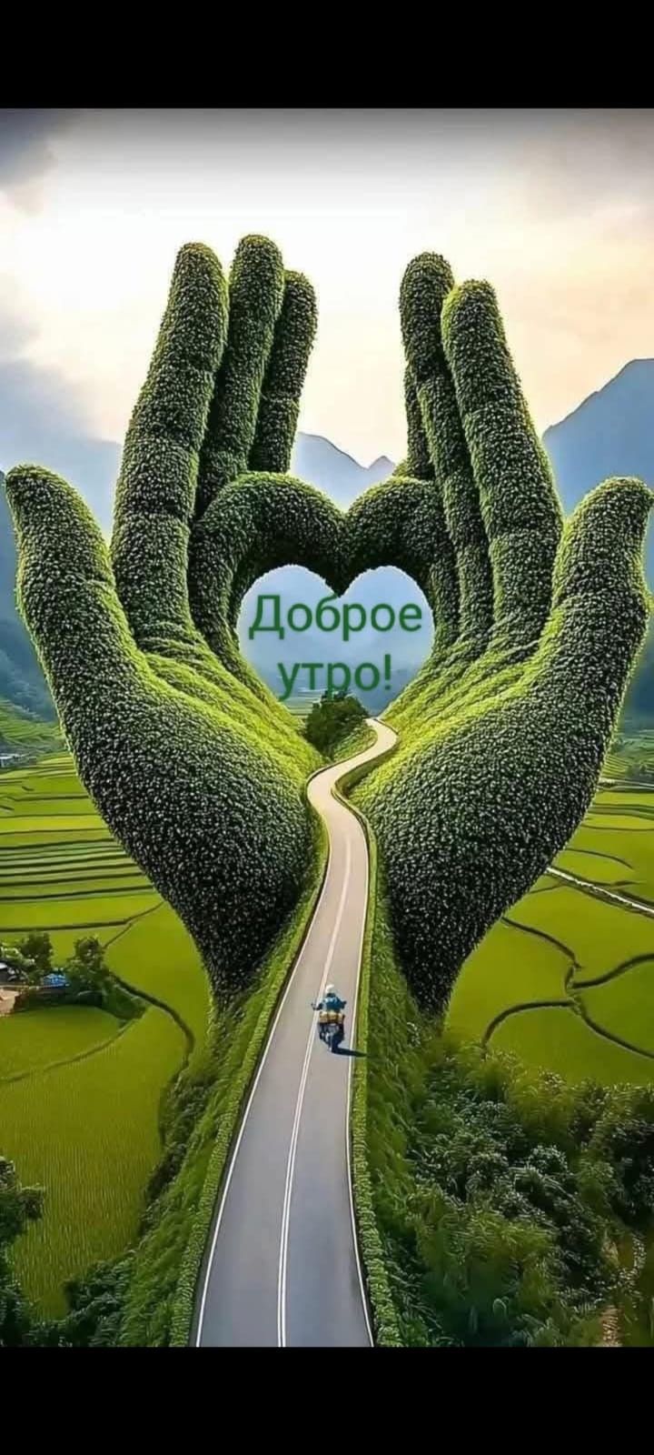 Доброе утро!