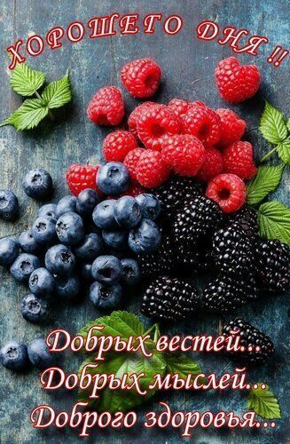 Хорошего дня !!
Добрых вестей...
Добрых мыслей...
Доброго здоровья...