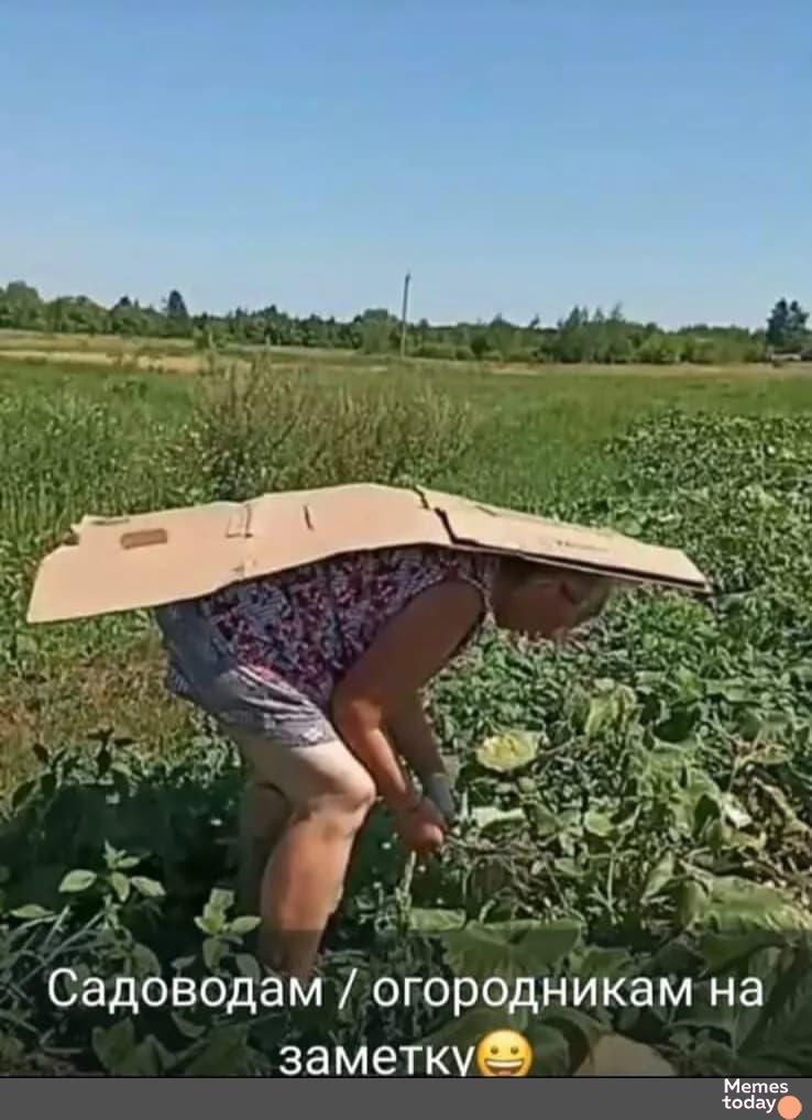 Садоводам / огородникам на заметку 😊