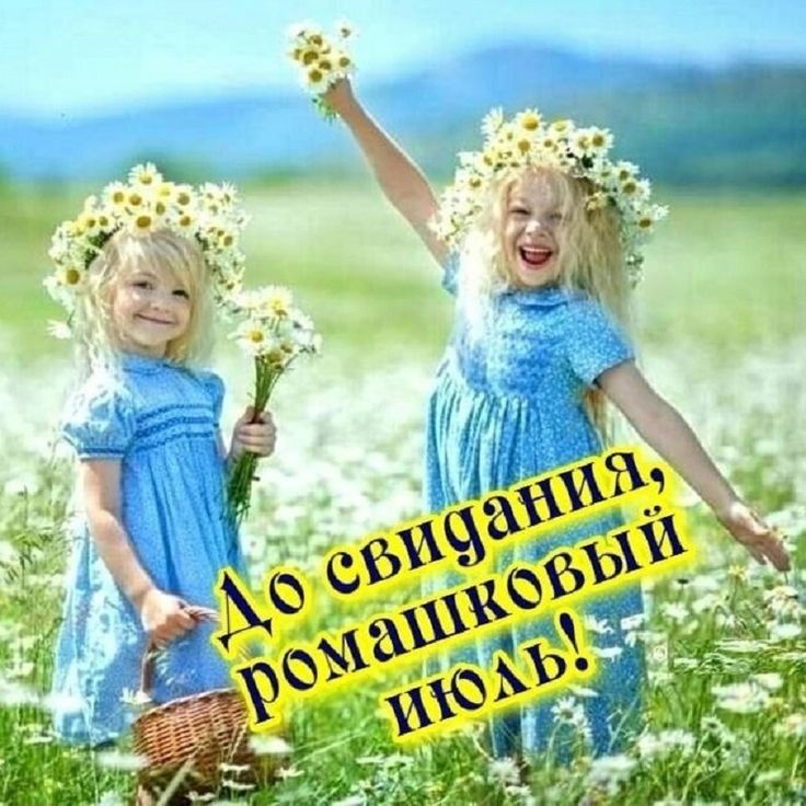До свидания, ромашковый июль!
