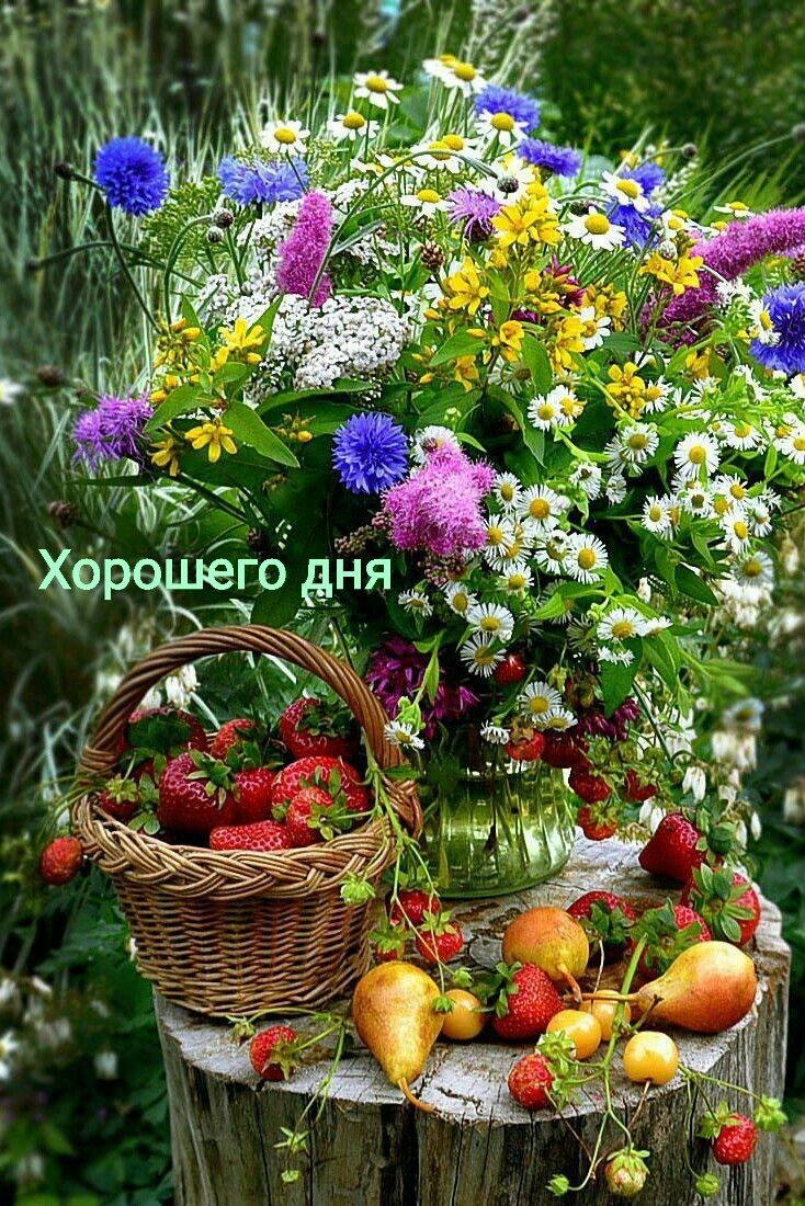 Хорошего дня