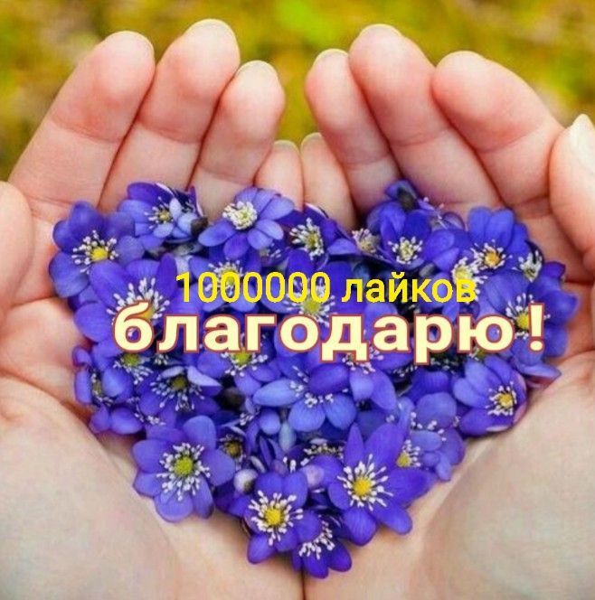 1000000 лайков благодарю!