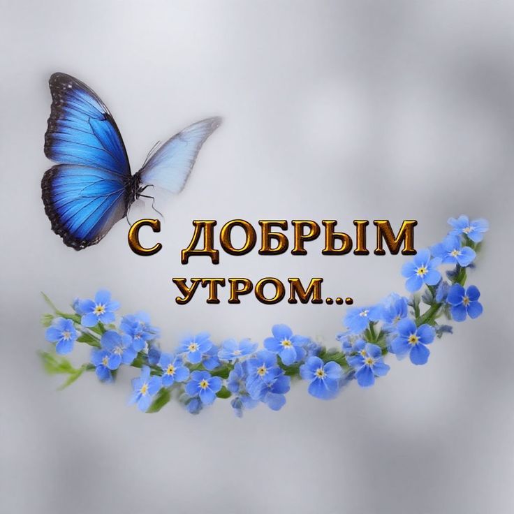 С ДОБРЫМ УТРОМ...