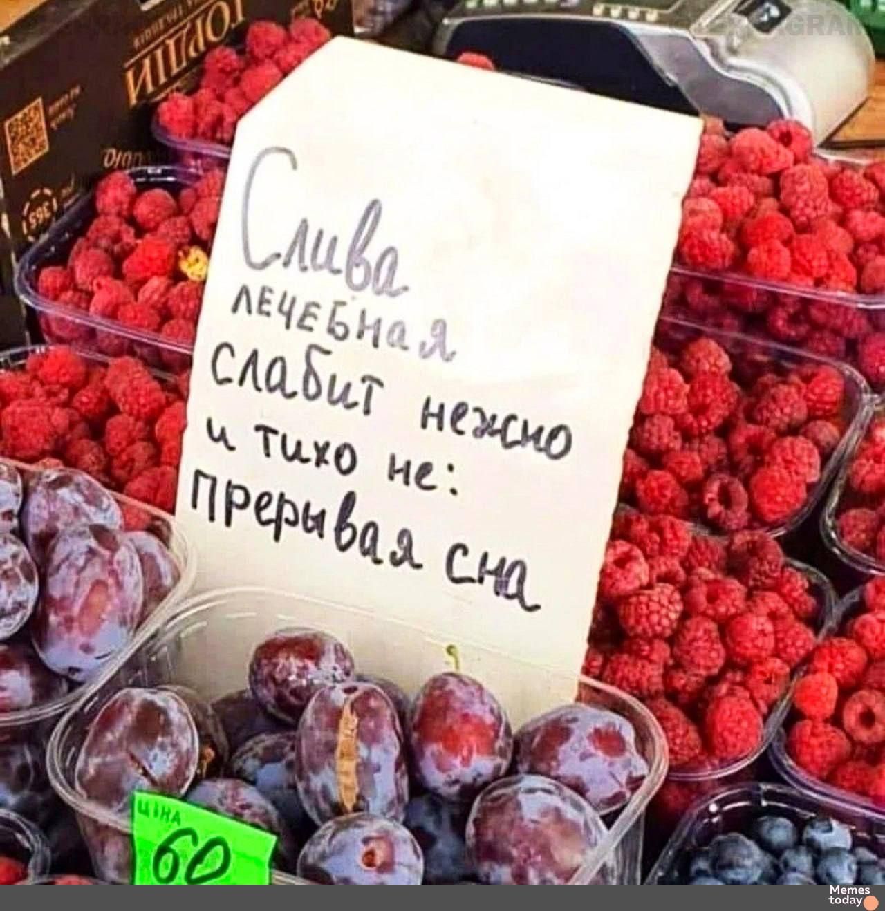 Слива лечебная
слабит нежно
и тихо не:
Прерывает сна