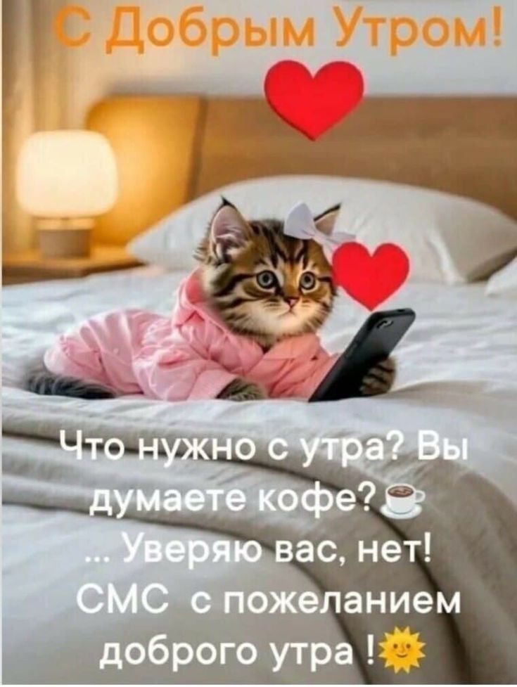 С Добрым Утром! Что нужно с утра? Вы думаете кофе? 🍵 ... Уверяю вас, нет! СМС с пожеланием доброго утра! ☀️