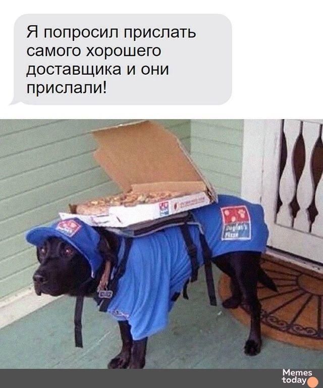 Я попросил прислать самого хорошего доставщика и они прислали!