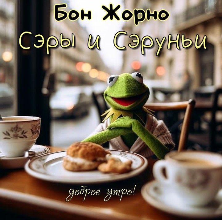 Бон Жорно СЭРЫ и СЭРЫНЬИ доброе утро!