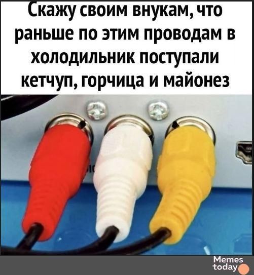 Скажу своим внукам, что раньше по этим проводам в холодильник поступали кетчуп, горчица и майонез
