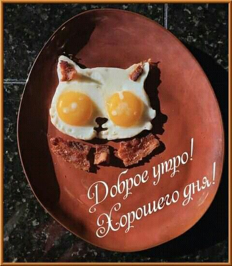 Доброе утро! Хорошего дня!