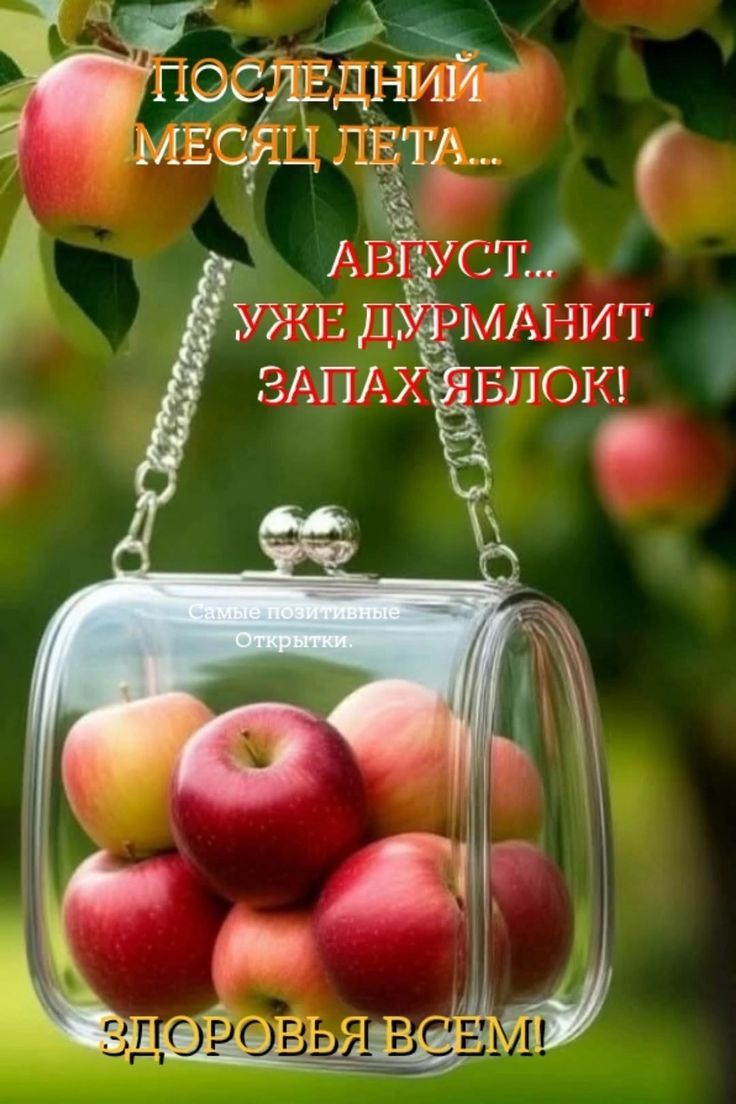 ПОСЛЕДНИЙ МЕСЯЦ ЛЕТА...
АВГУСТ...
УЖЕ ДУРМАНИТ ЗАПАХ ЯБЛОК!
ЗДОРОВЬЯ ВСЕМ!