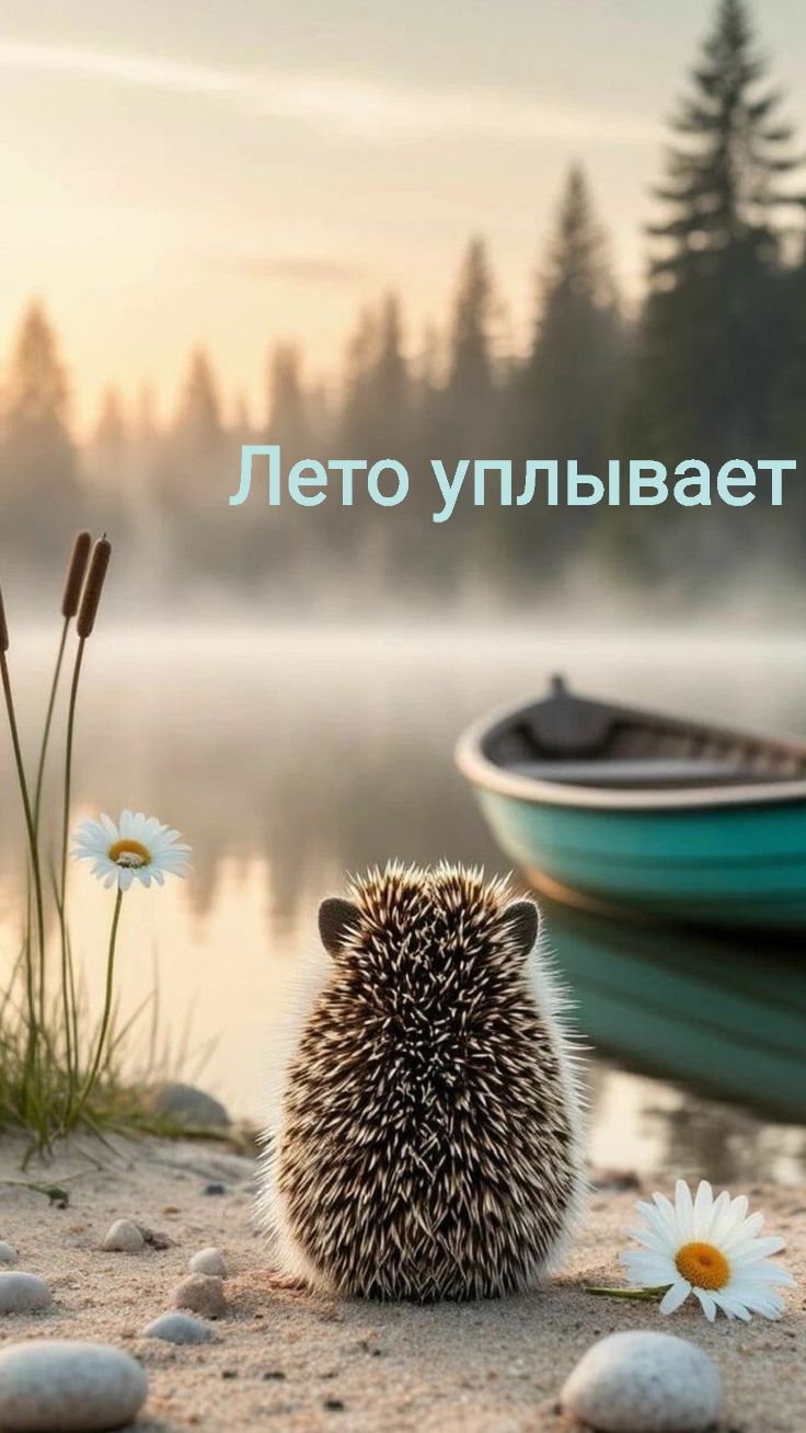 Лето уходит