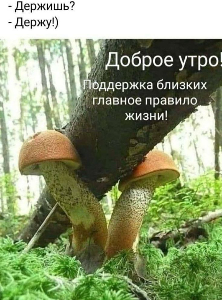 Доброе утро! Поддержка близких главное правило жизни!